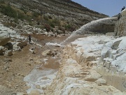 Wadi Wala (13)